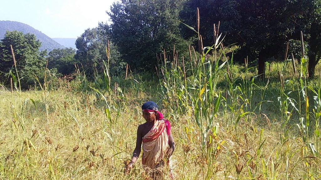 Livelihood Security