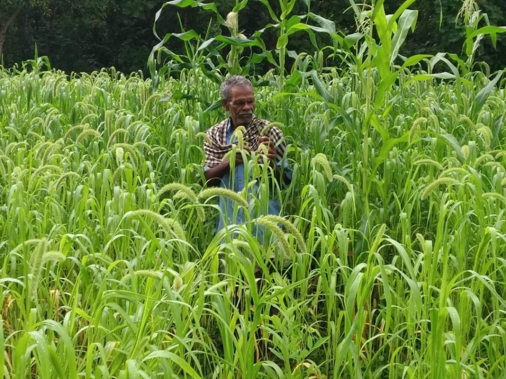 Resilience through Inclusive Climate adaptation and Empowerment (RICE)
