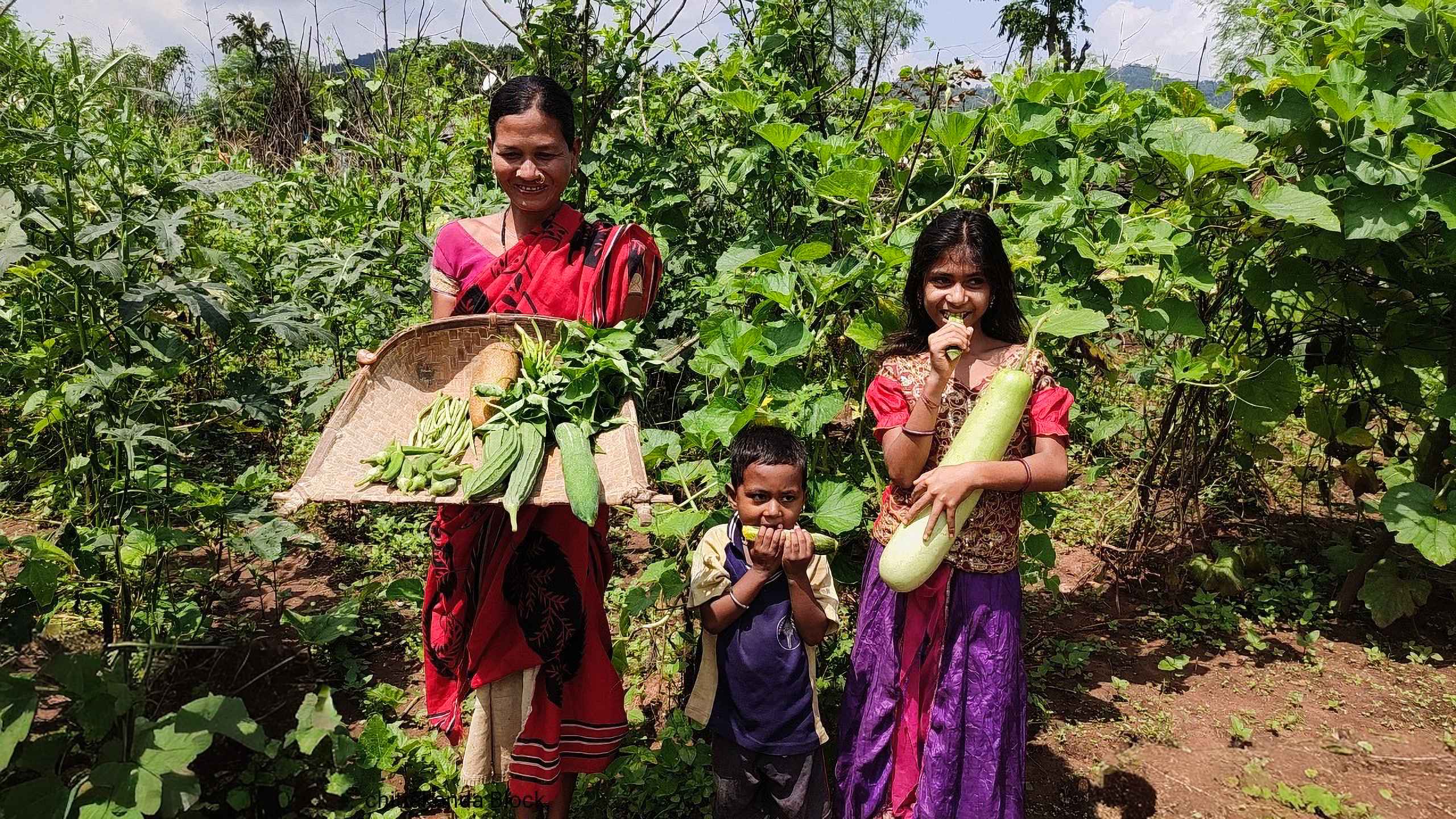 How seed banks and nutrition gardens are empowering Adivasi women in Odisha