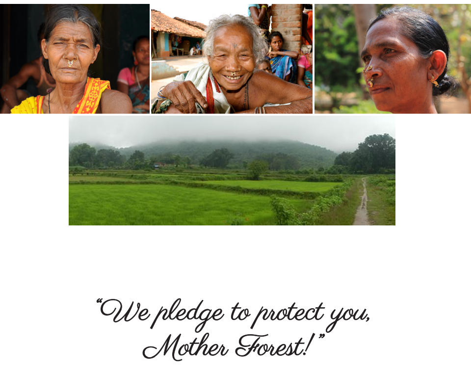 We-pledge-to-protect-you-Mother-Forest-2